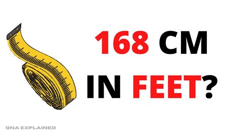 what is 168cm in feet